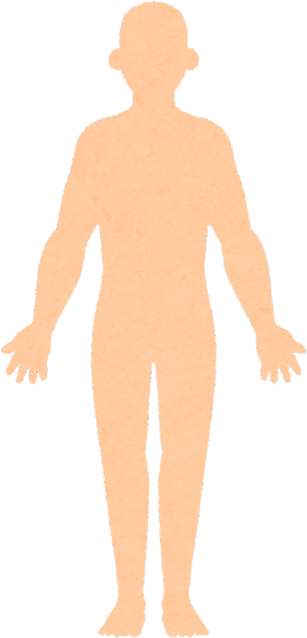 Illustration of a Male Human Body Silhouette